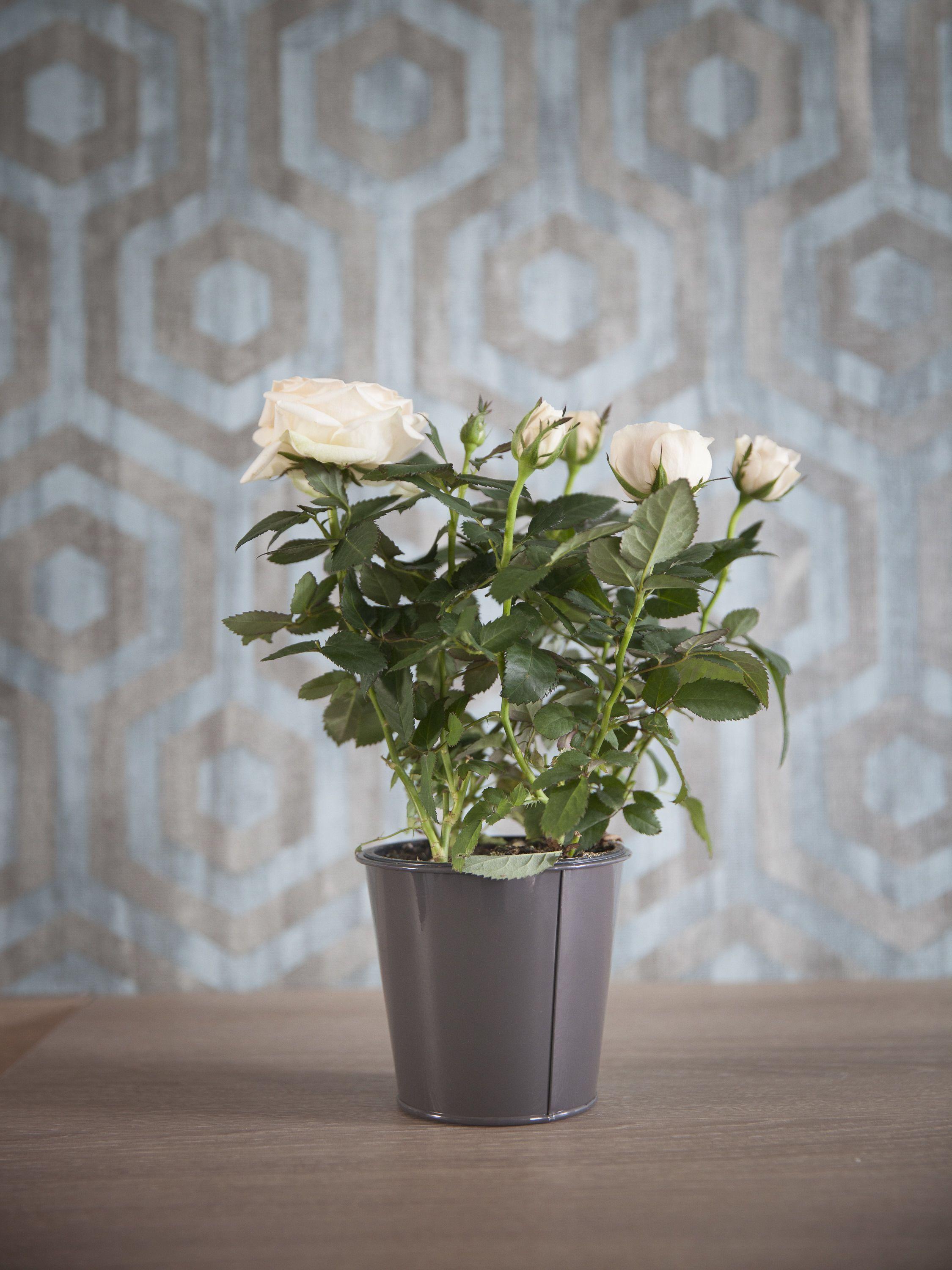 Hotel Chabrol Opera Paris