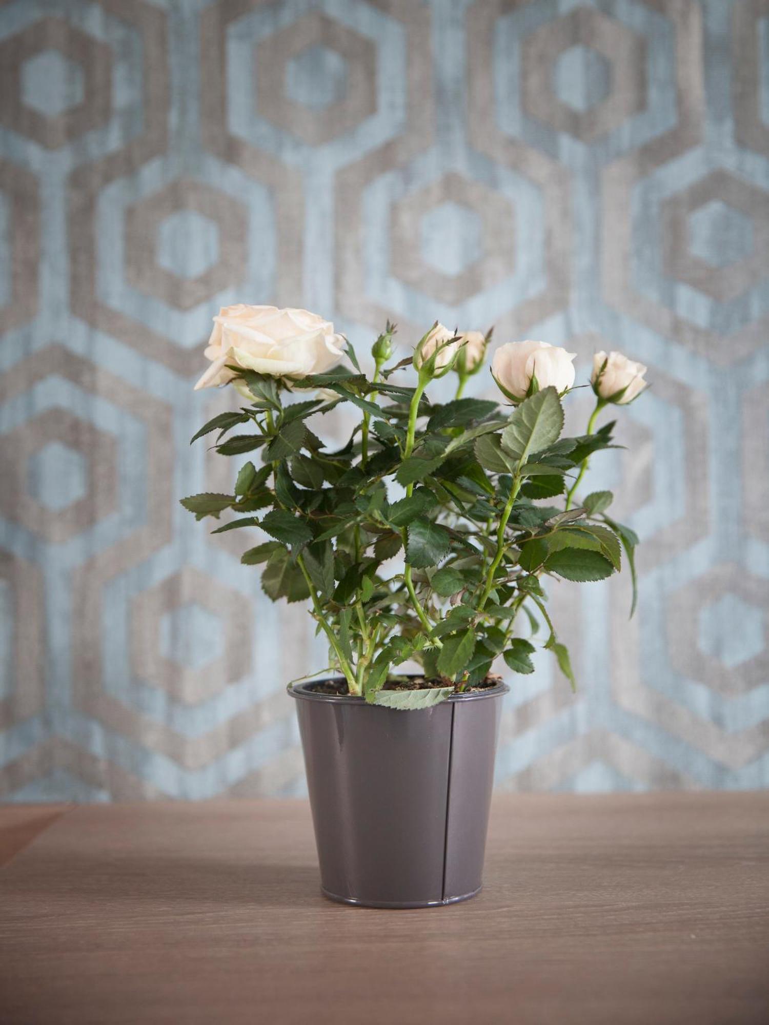 Hotel Chabrol Opera 3*